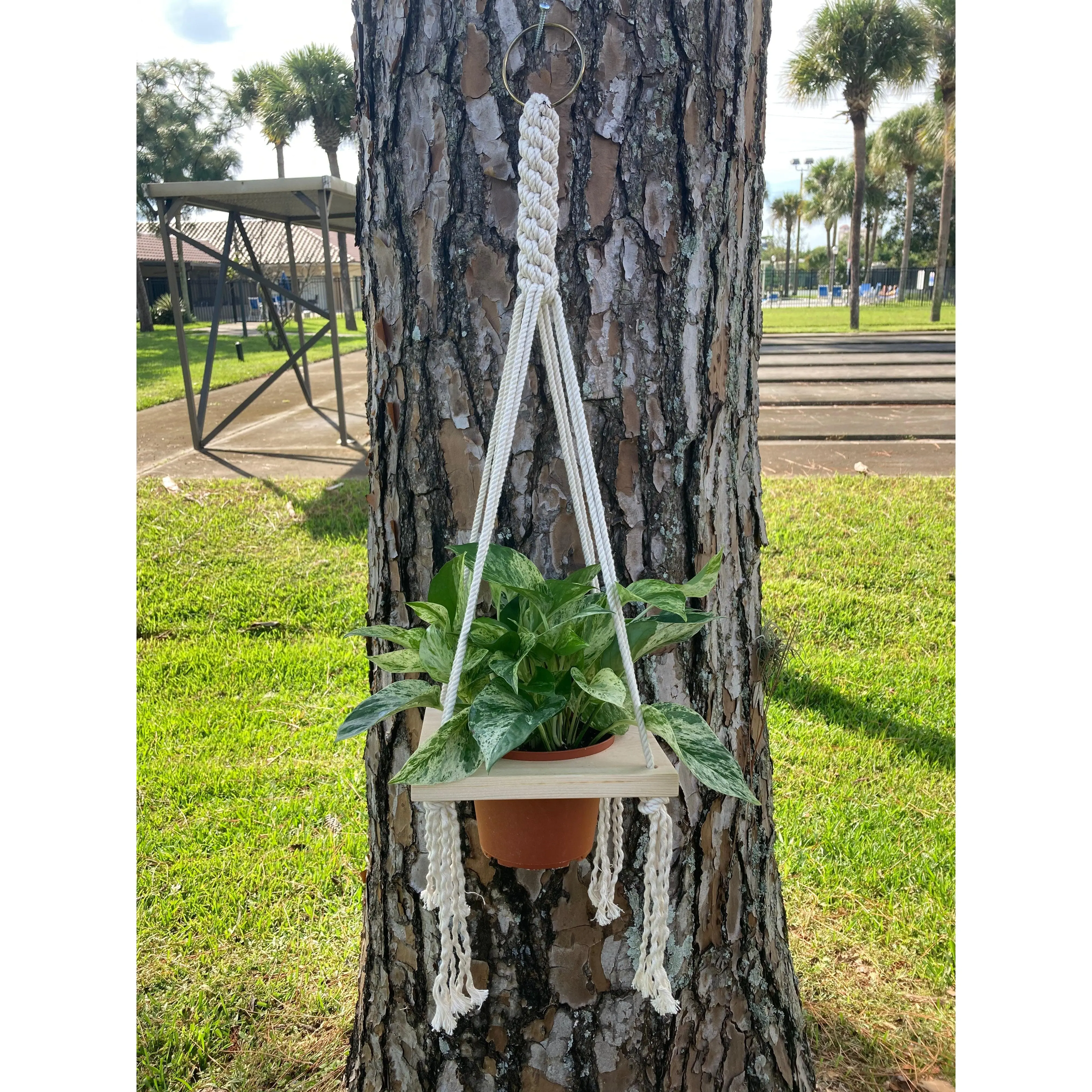 Macrame Single Plant Holder - 6” pot