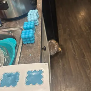 Cube wax