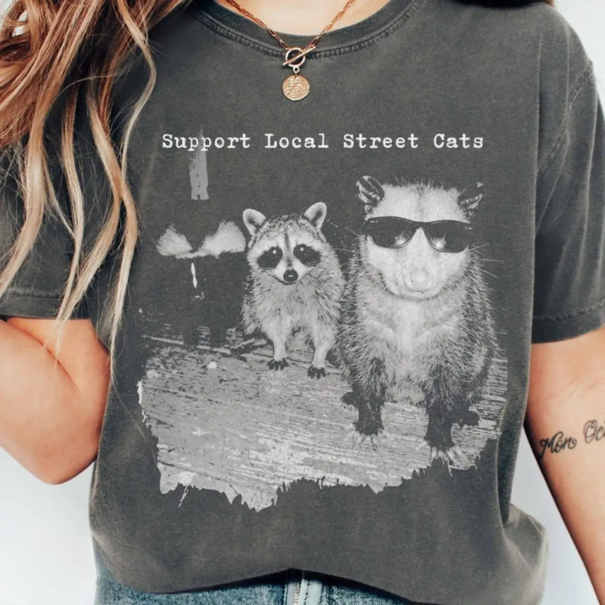 Comfort Colors Support Local Street Cats TShirt, Funny Raccoon Skunk Possum T-Shirt, Retro Animal Lover Meme Tee, Vintage Style T-Shirt
