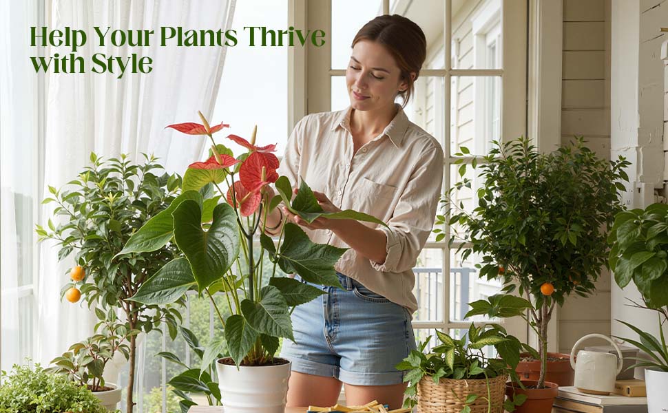 Stackable Monstera Plant Support Stakes – 10 Pack Durable Climbing Plant Support for Indoor & Outdoor Potted Plants, Garden Stakes for Pothos, Philodendron & Vine Plants