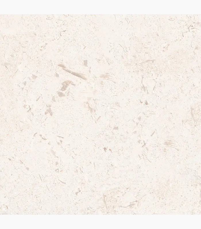 24×24 Shell Stone Rectified Porcelain Paver