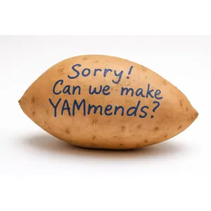 Apology YAM-A-GRAM - "Sorry! Can we make YAMmends?" Handwritten Message on Real Yam with Free Burlap Gift Sack for Unforgettable Apologies - Gift - Greeting - Fun - Food