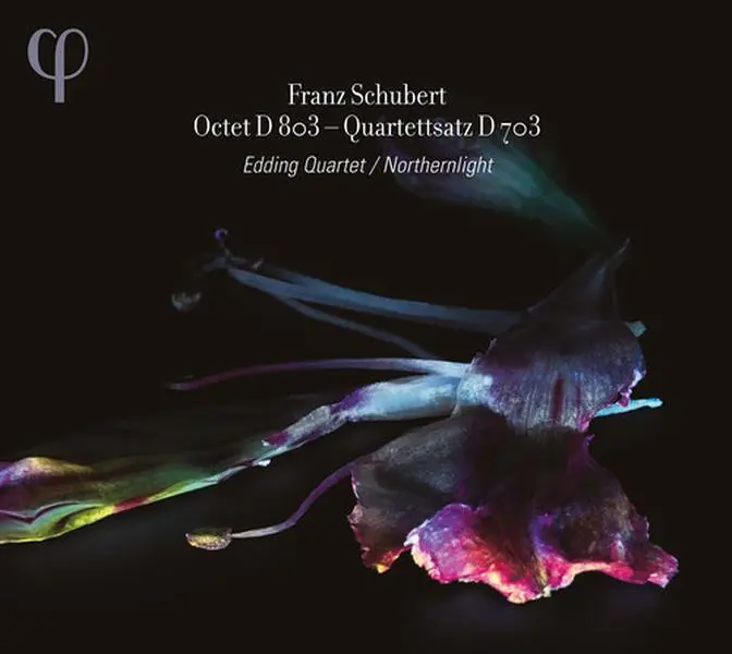 Edding Quartet & Northernlight - Octet D. 803 & Qrttsatz D. 703  [COMPACT DISC - CD]