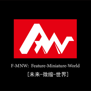 F-MNW Model