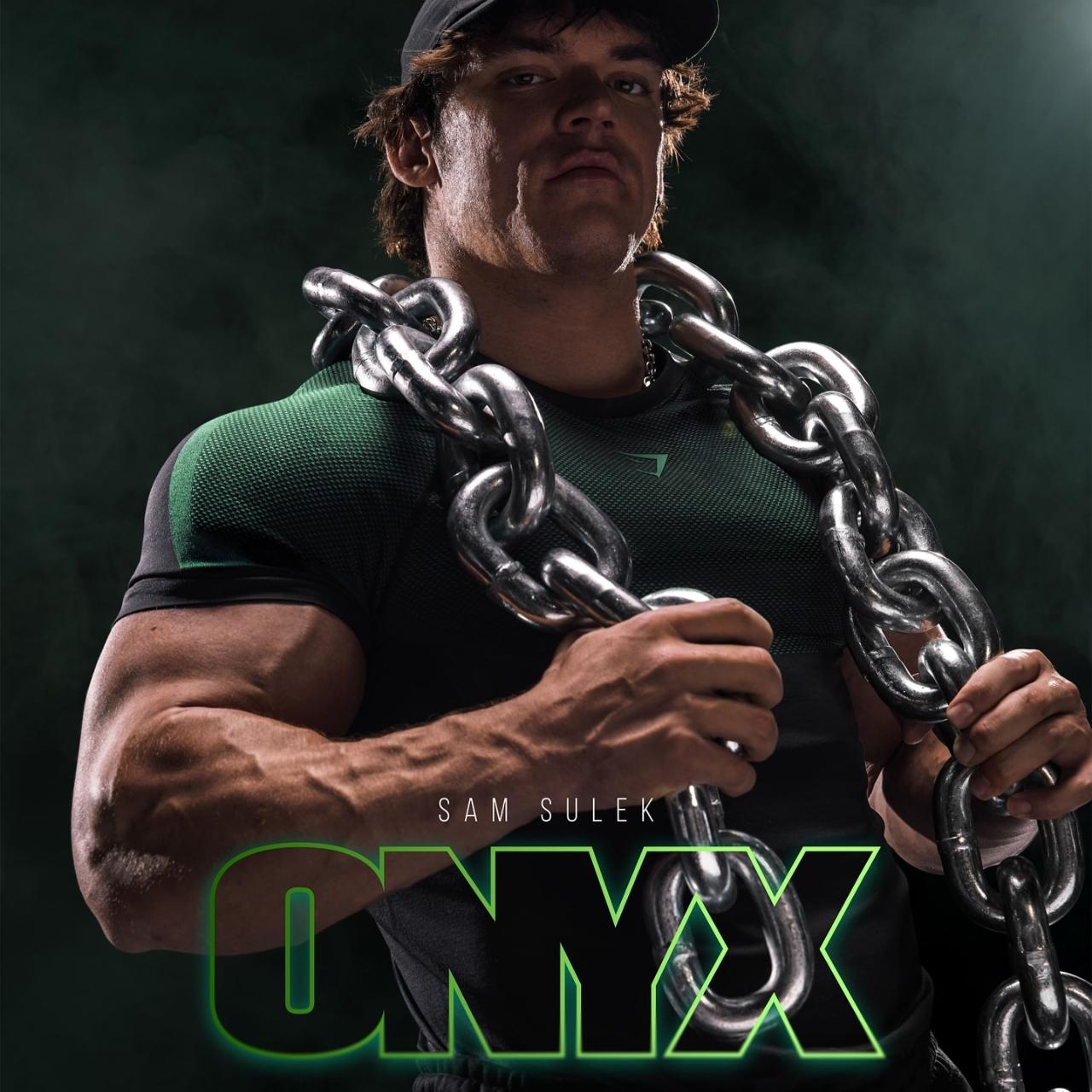 ONYX V5 Seamless Short Sleeve T-Shirt - Breathable Muscle Fit Gym