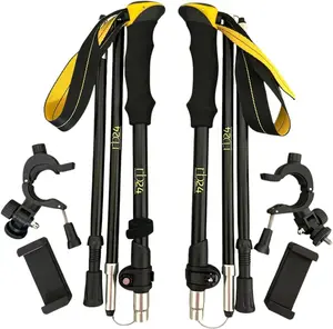 Trek pole with phone mount