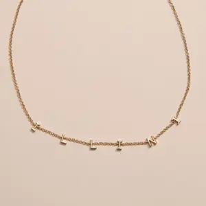 University of Illinois "ILLINI" Initial Necklace
