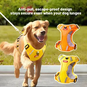 [Hipipet] Dog Leashes and Harnesses for Shiba Inus, Poodles, Corgis and More: Anti-Choking, Anti-Pull Vests - Perfect for Small and Medium Dogs on Walks,Adjustable, Anti-pull, escape-proof design – stays secure even when your dog lunges