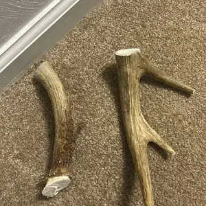 Natural Deer Antler Chew Toys