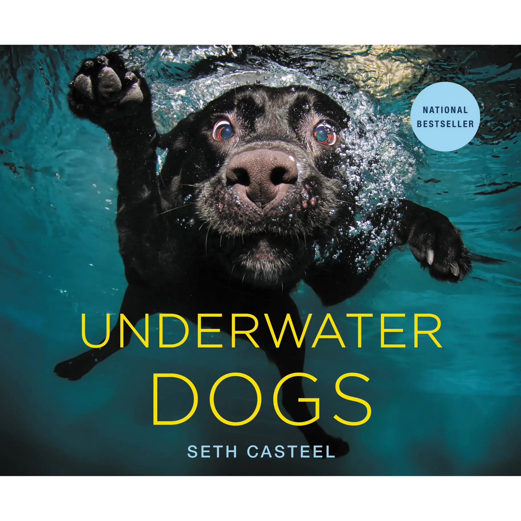 Underwater Dogs by Seth Casteel [Hardcover Book]