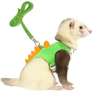 Dinosaur Shaped Harness and Leash Set for Small Animals, Vest Harness with Safe Bell for Ferret, Baby Rabbit, Guinea Pig, Teacup Chihuahua, Mouse and Other Small Pets