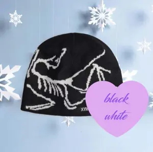 Arc'teryx Winter Beanie, Bird Head Toque, Luxury Streetwear Outdoor Cap