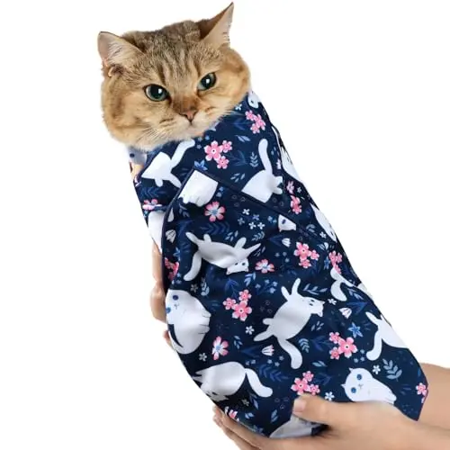 Cute Cat