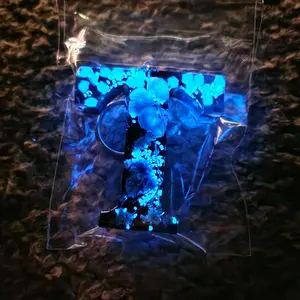 Luminous design keychain
