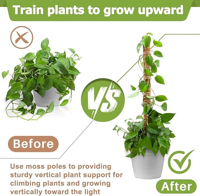 2 Pcs 15.7" Moss Totem Poles for Monstera, Coco Coir Plant Support Stakes with Jute String for Climbing Indoor Potted Plants