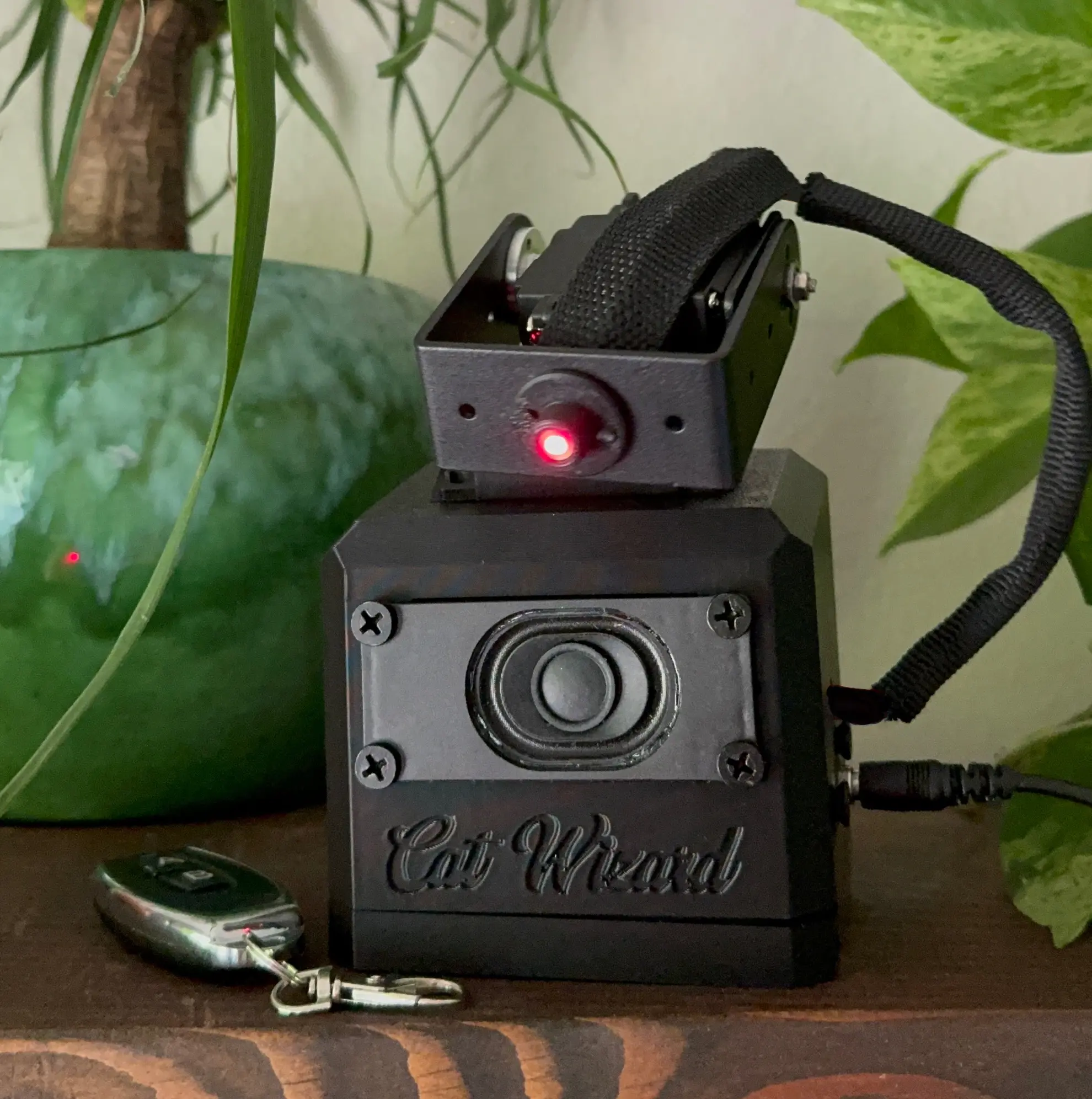 Cat Wizard Automatic Laser Pointer