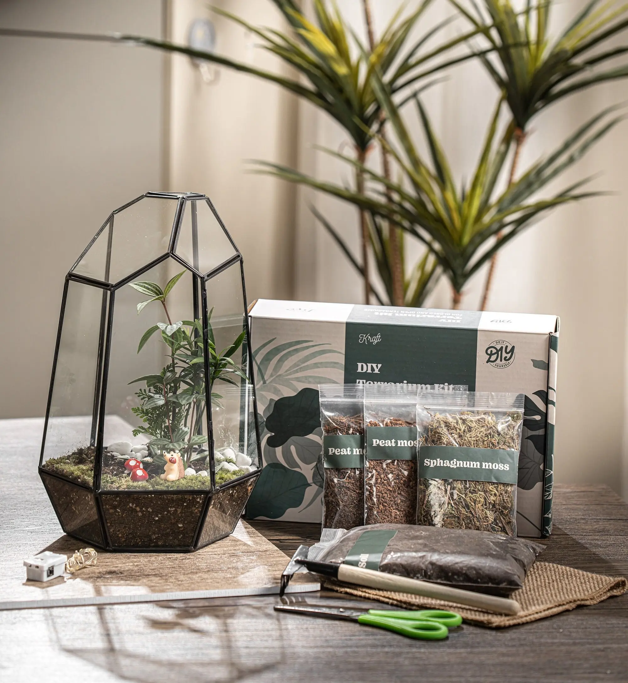 DIY Large Terrarium Kit with Live Moss and Tropical Plants - Personalized Birthday and Holiday Craft Gift