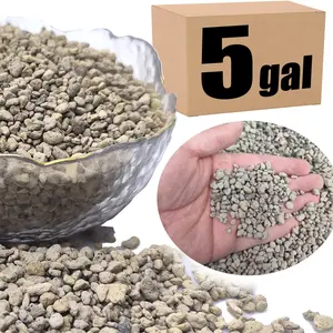 Organic Pumice for Bonsai and Horticultural 100% Natural (5 gallons, 1/4 inch)
