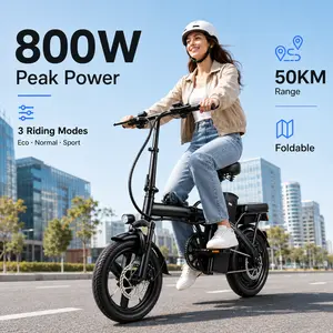 Foldable Electric Bike for Adults, 800W Peak Power Compact E-Bike, 50KM Range Portable Commuter Bike with 3 Riding Modes