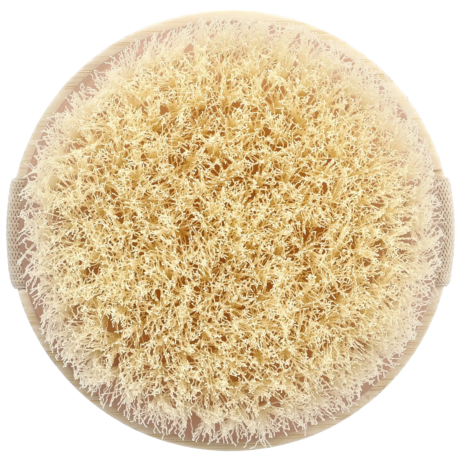 EcoTools Dry Body Brush, 1 Brush
