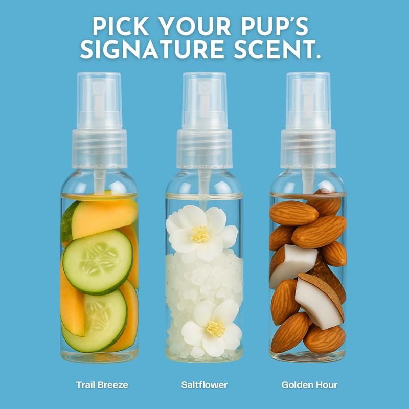 Boone & Co. Canine Cologne Spray for Dogs – 8 oz | Pet-Safe Dog Deodorizer & Grooming Spray | Clean Ingredients, Long-Lasting Scent | Made in USA | 3 Signature Scents