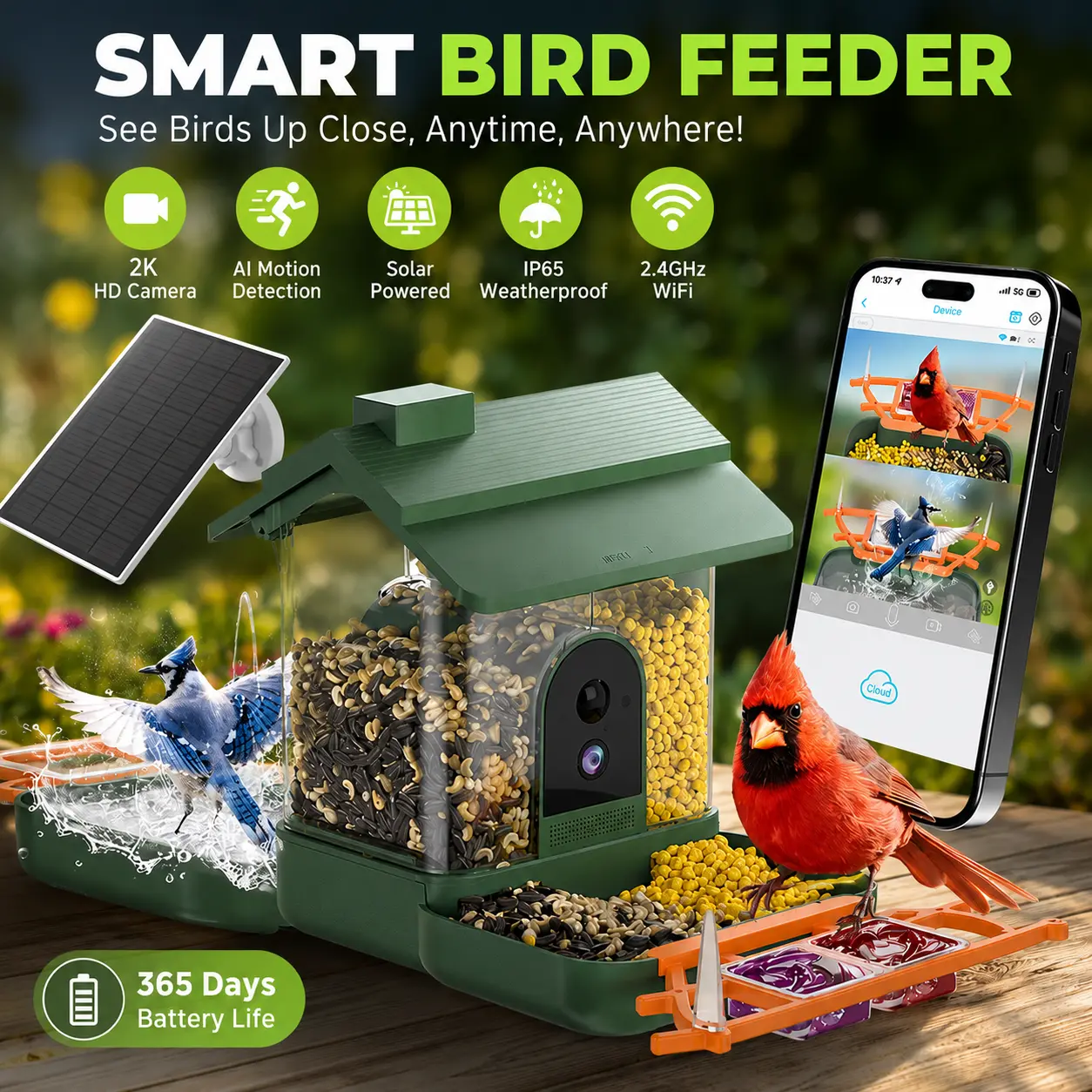 Bird Feeder Camera and Bath Solar Powered for Outdoors, Hummingbird Feeder Camera, Dual-Lens 2K HD Video, AI Bird Identification, Solar Powered, Instant Alerts, IP66 Weatherproof for Backyard Outdoors,Ideal Gift for Bird Lover