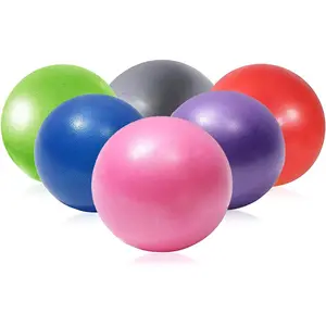 Mini Yoga Balls 9 Inch Exercise Pilates Therapy Balance Barre Equipment for Home Stability Squishy Training PhysicalCore Training(6 PCS)
