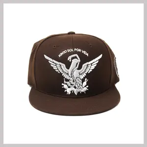 KS Snapback hat #31