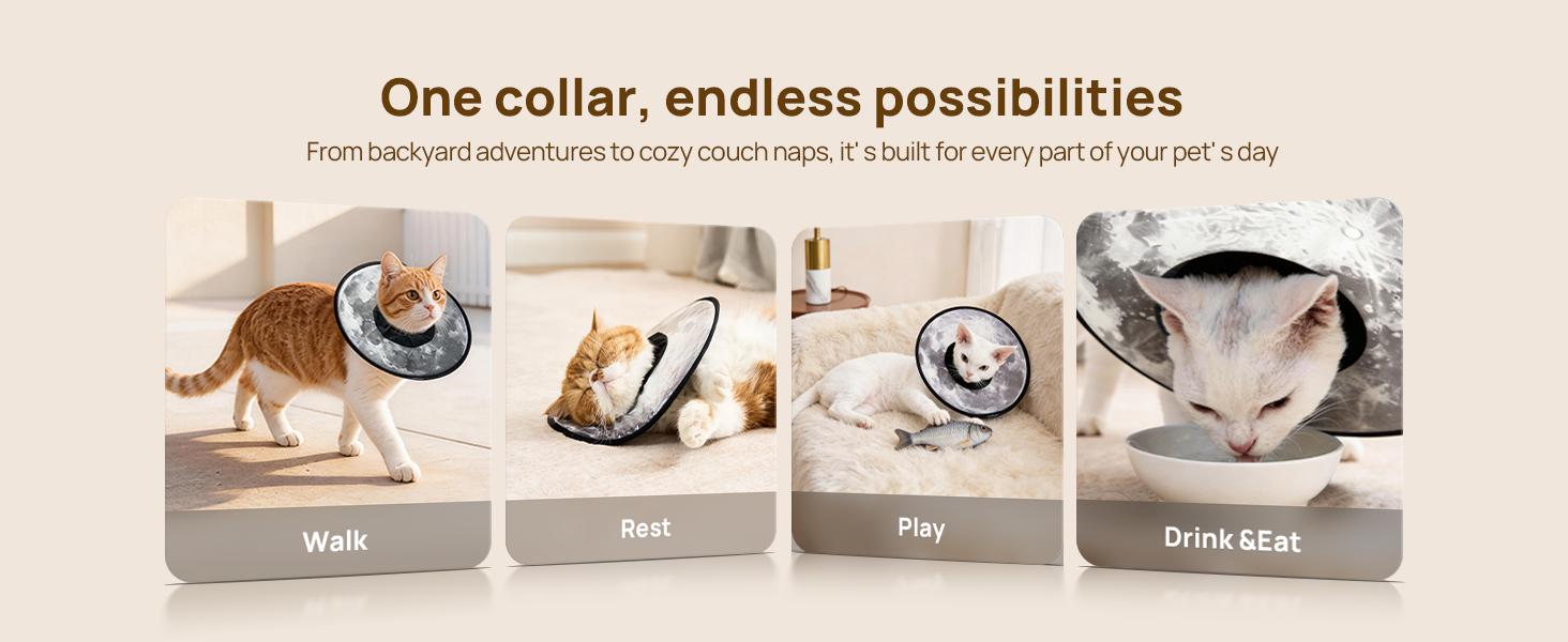 【SpringGlowUp】HICC PET Pet collar,Cute Cat  Waterproof Cat Recovery Collar,Anti-Bite Lick Wound Healing Safety Elizabethan e Collar for Cats,Purple Flower All-Season Style