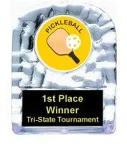 BuyAwardsandTrophies Pickleball Cracked Ice Trophy (4.75""), Clear