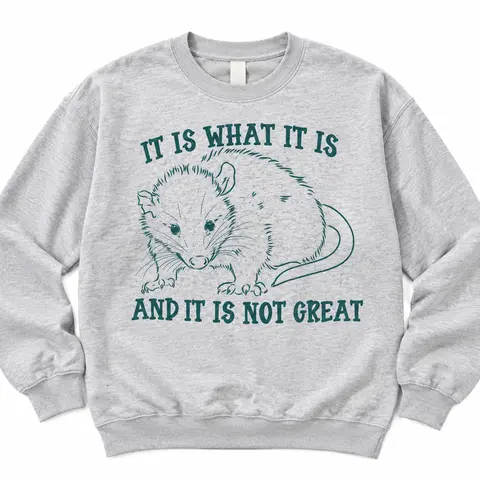 It Is What It Is Possum on Ash Gray Sweatshirt