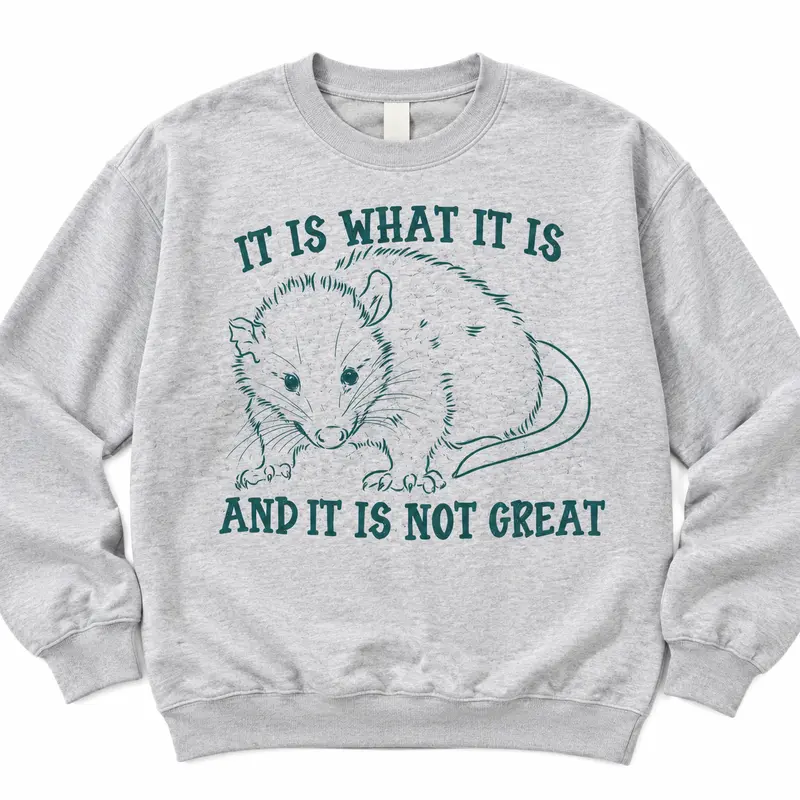 It Is What It Is Possum on Ash Gray Sweatshirt