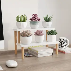 Small Plant Stand Indoor Ladder Shelf Desk, 2 Tiers Desktop Flower Stand Window Sill ,Wood Display Stand for Succulent Cupcake Spice Rack Countertop
