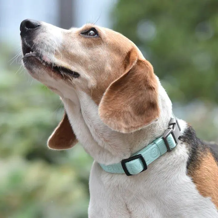Waterproof AirTag Dog Collar  Military Tactical Dog Collar with AirTag Holder, Comfortable Control Handle and Metal Buckle for Medium to Large Dogs