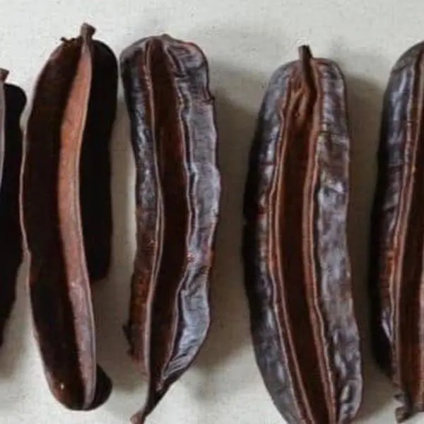 Body Prekese Aidan Fruit - Whole Pods, Tetrapleura Tetraptera, African Dried Herbs for Herbal Tea and Seasoning, Aidan Fruit from Ghana