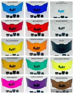 2024 Panini Trading Cards. Multi-Colored Visor's for Collectable Helmets.