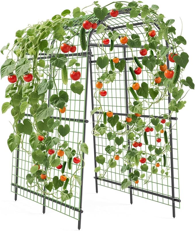 Adjustable Metal Garden Arbor Trellis with Netting – Heavy Duty, Weather-Resistant Pergola Arch for Climbing Vines, Vegetables, Flowers – Easy Install for Outdoor Patio & Event Decor Adjustable Metal Garden Arbor Trellis with Netting – Heavy Duty, Weather-Resistant Pergola Arch for Climbing Vines, Vegetables, Flowers – Easy Install for Outdoor Patio & Event Decor