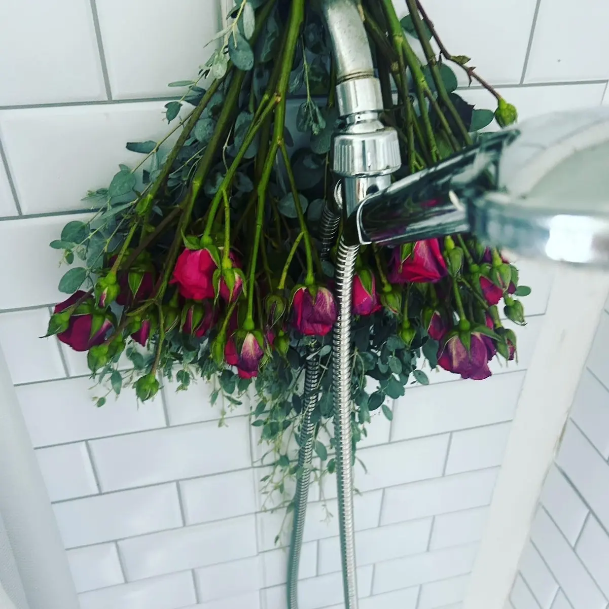 Fresh Eucalyptus Shower Bundle (Long Island Residents ONLY)