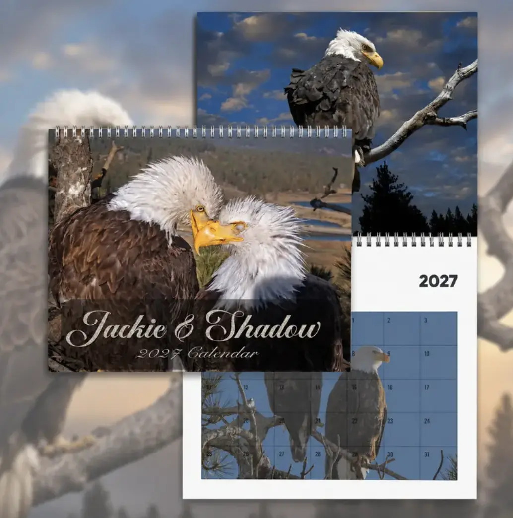 E Story Wall Calendars 2027-2026, Calendar for Home Decor