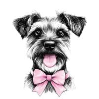 Schnauzer