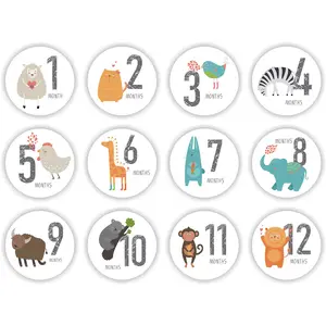 12 Pcs/Set Baby Pregnant Monthly Stickers Growth Photo Photography Props Memory Recording Milestone Sticker