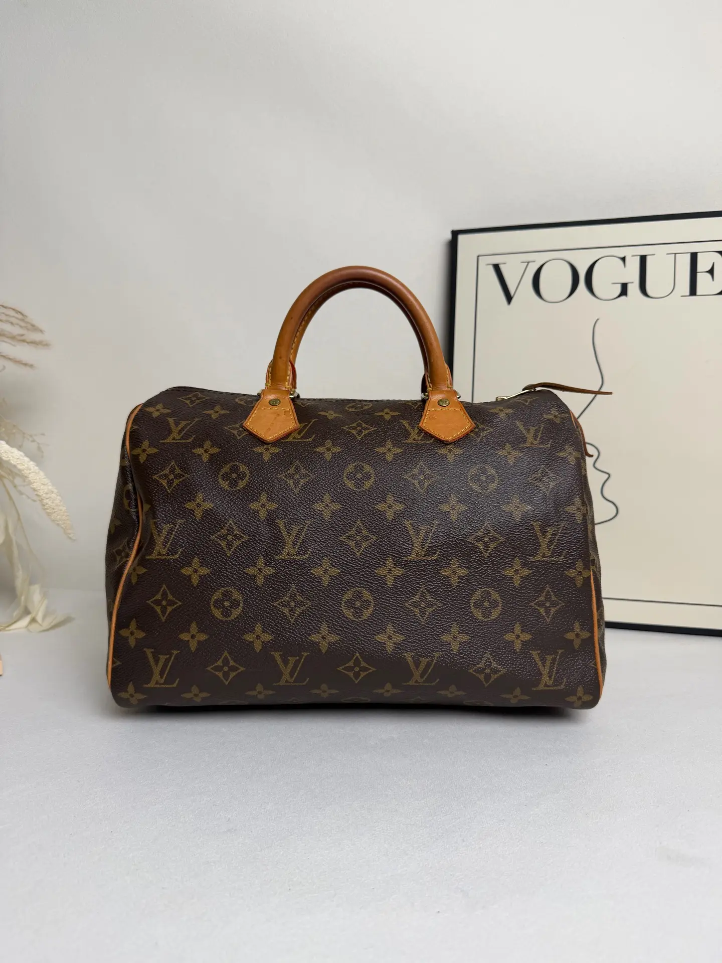 Pre-owned Louis Vuitton Speedy 30 CC0246