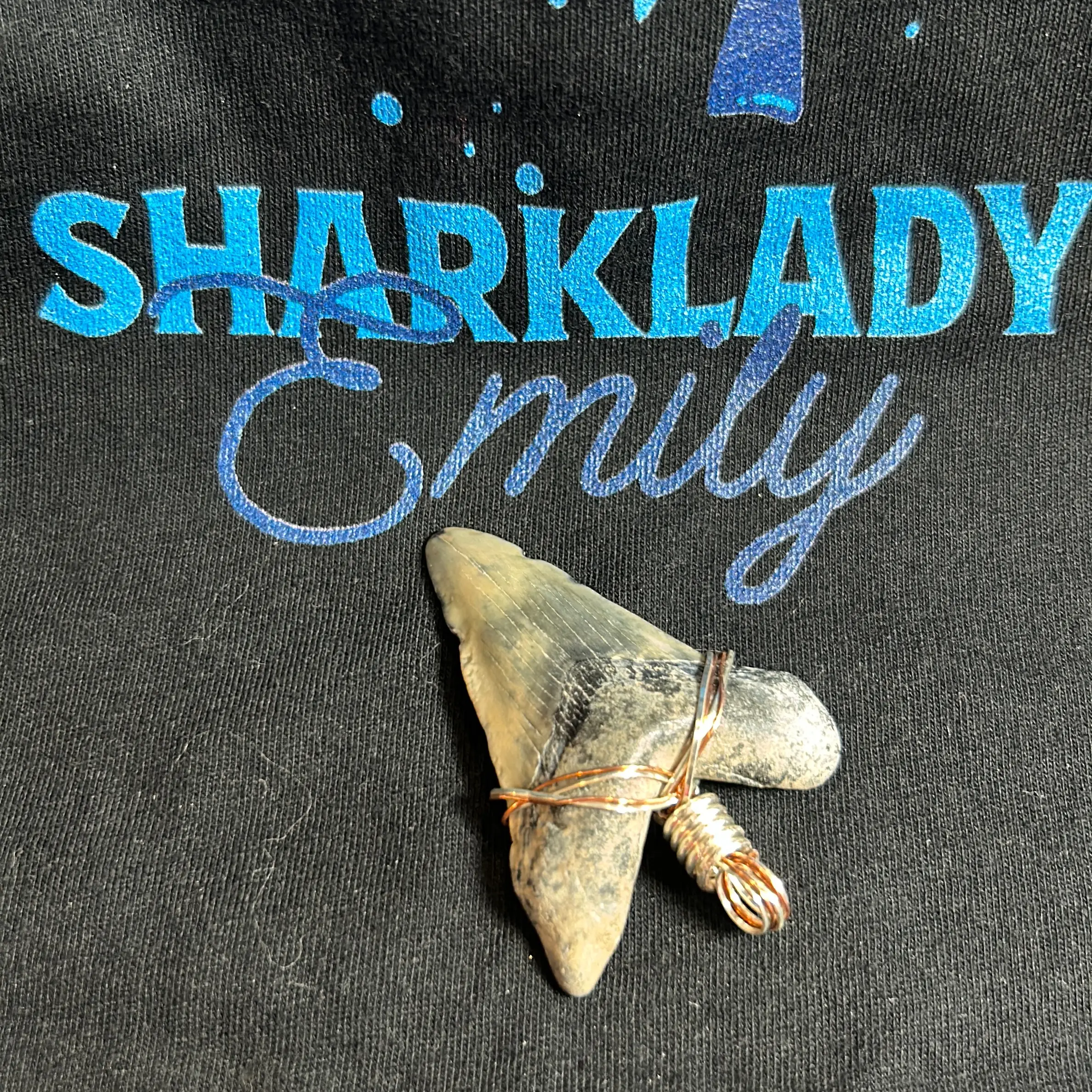 Megalodon tooth Pendant