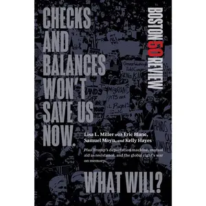 USED-Checks and Balances Won't Save Us Now. What Will? by Miller, Lisa L. (Paperback)
