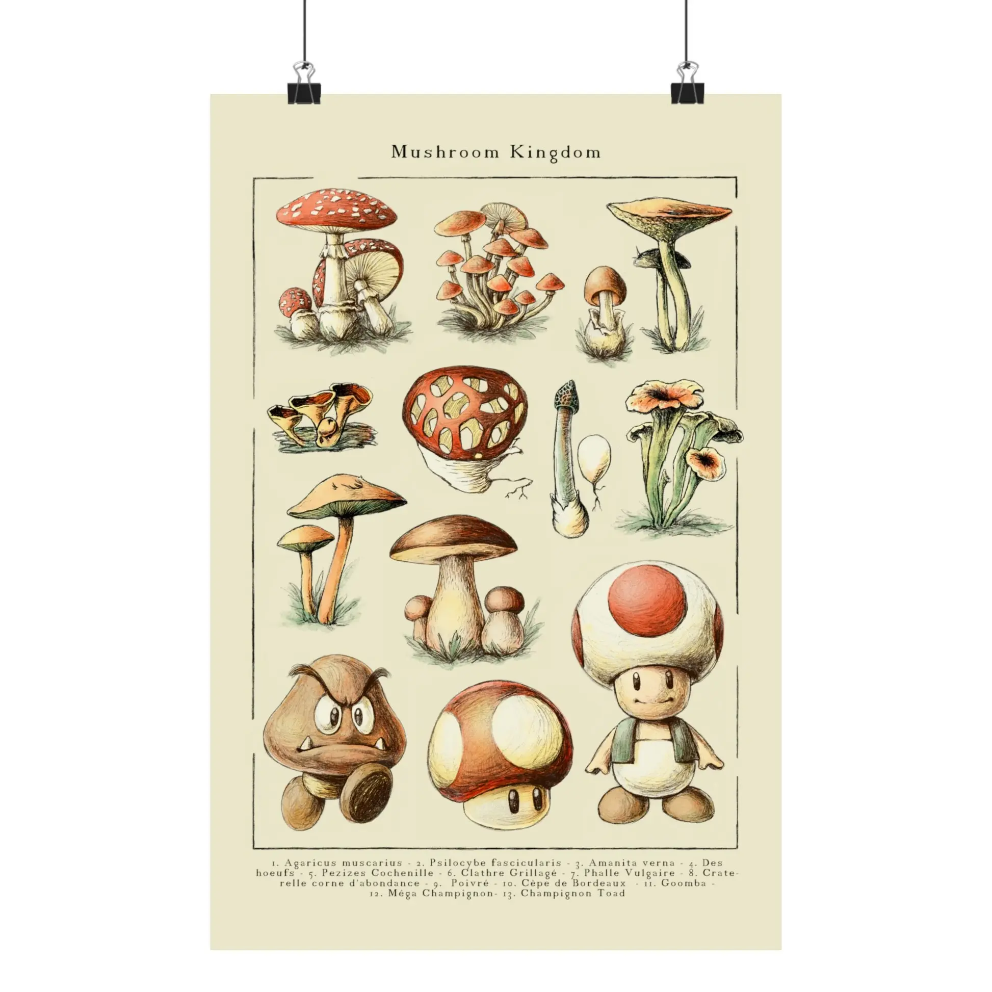 Super Mario Mushrooms Poster, Mar Bros Art Print, Luigi Peach Toad Browser Yoshi - Retro Gamer Poster