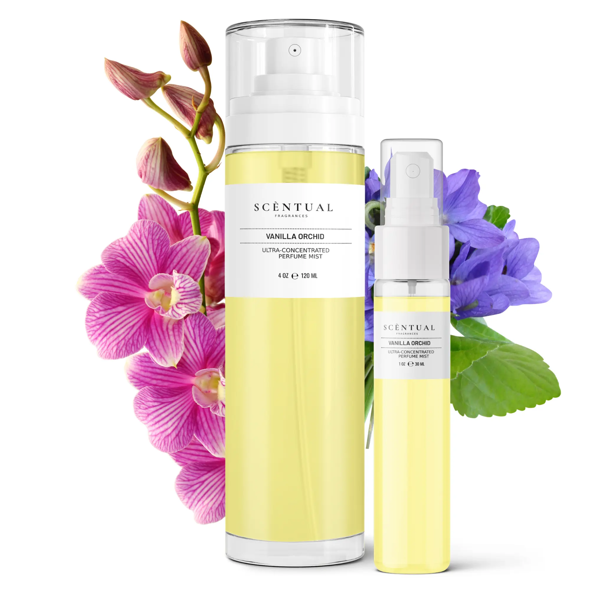 Vanilla Orchid Ultra-Concentrated Perfume Mist Vanilla Orchid Ultra-Concentrated Perfume Mist