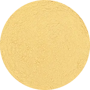 Freeze Dried Mango Powder