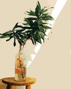 Premium Quality Paint by Numbers Kit for Adults: Corn Plant - 16x20 inches - DIY Drawing on Canvas with Paintbrushes - Color Acrylic Paintwork