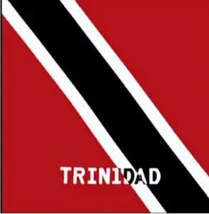 Trinidad & Tobago Flag Square Cotton Bandanas