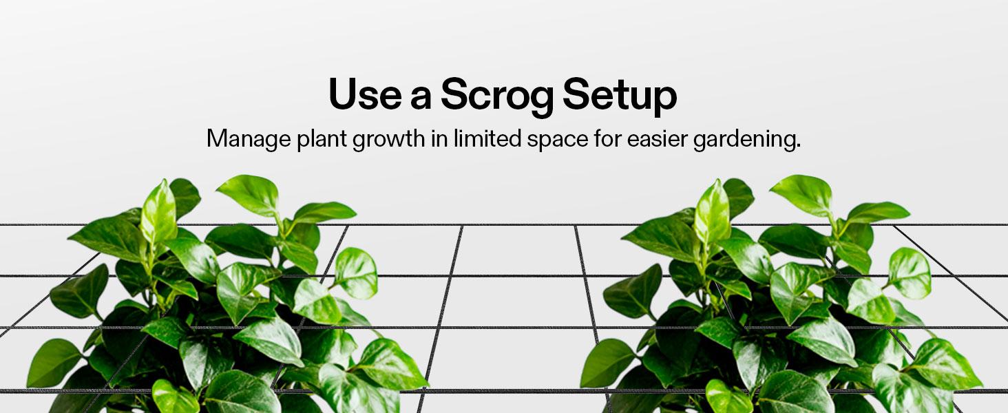 VIVOSUN Elastic Trellis Netting with 4 Hooks for Climbing Plants, Vegetables, Fruits, and Flowers, 1-Pack VIVOSUN Elastic Trellis Netting with 4 Hooks for Climbing Plants, Vegetables, Fruits, and Flowers, 1-Pack